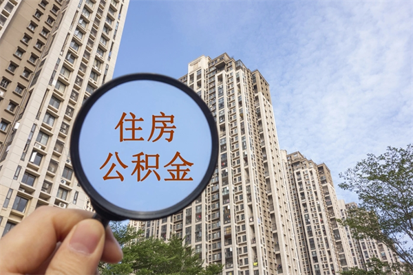 东明公积金的提（&quot;公积金提取&quot;）